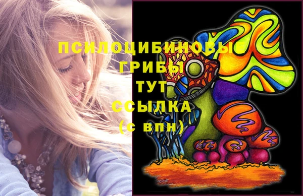 мдпв Вязники