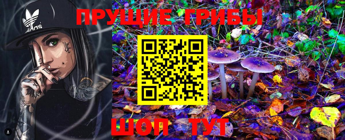Бор  Галлюциногенные грибы ЛСД  Вход с VPN  Псилоцибиновые грибы Psilocybe 