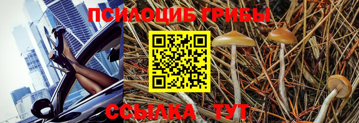 Псилоцибиновые грибы мухоморы Бор