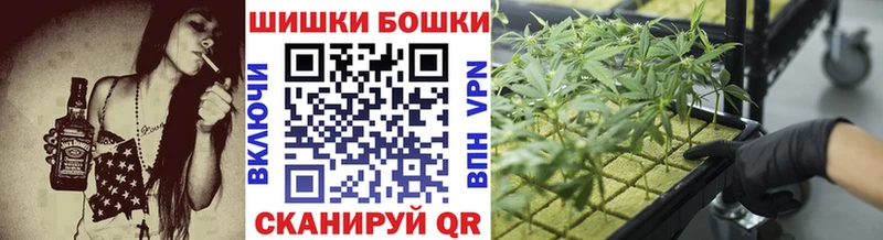 МАРИХУАНА сатива Бор