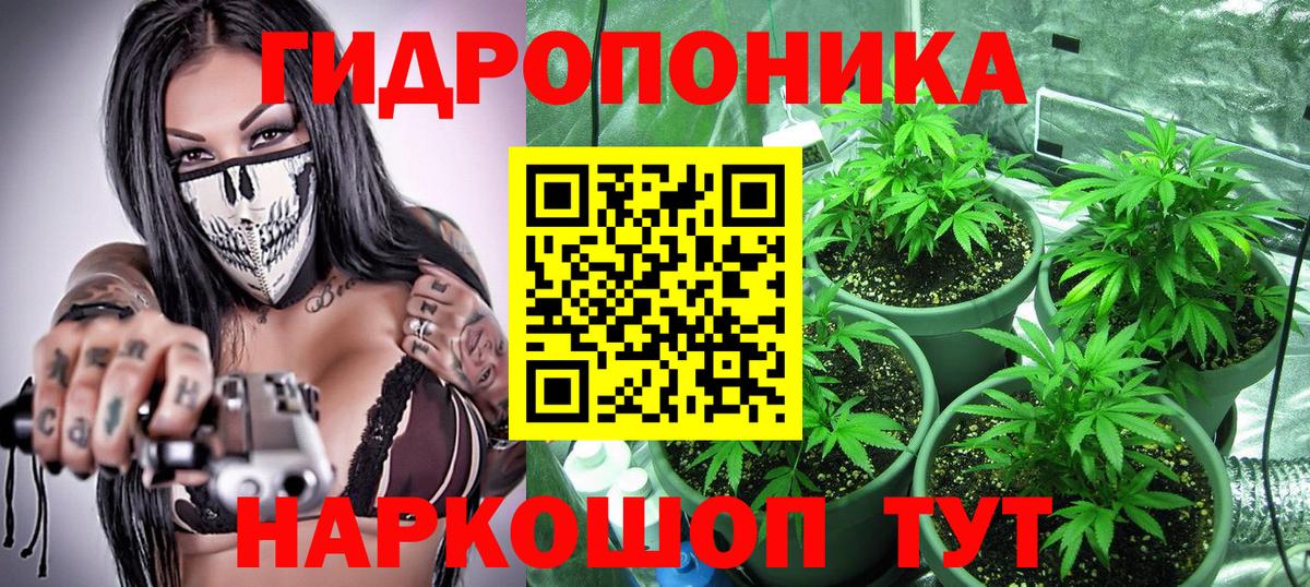 Шишки марихуана Ganja Бор